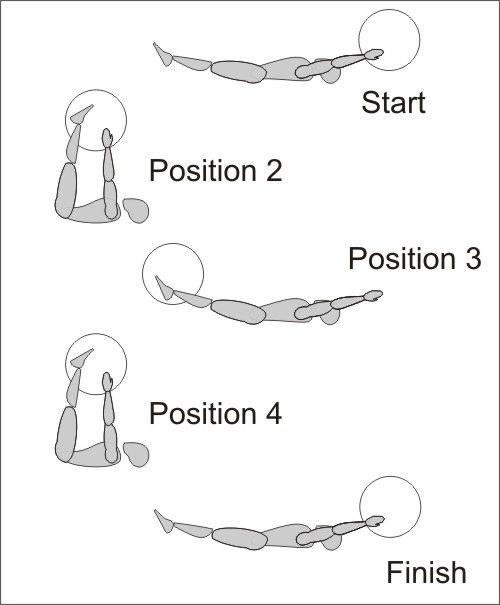 Swiss Ball Ab Exercise